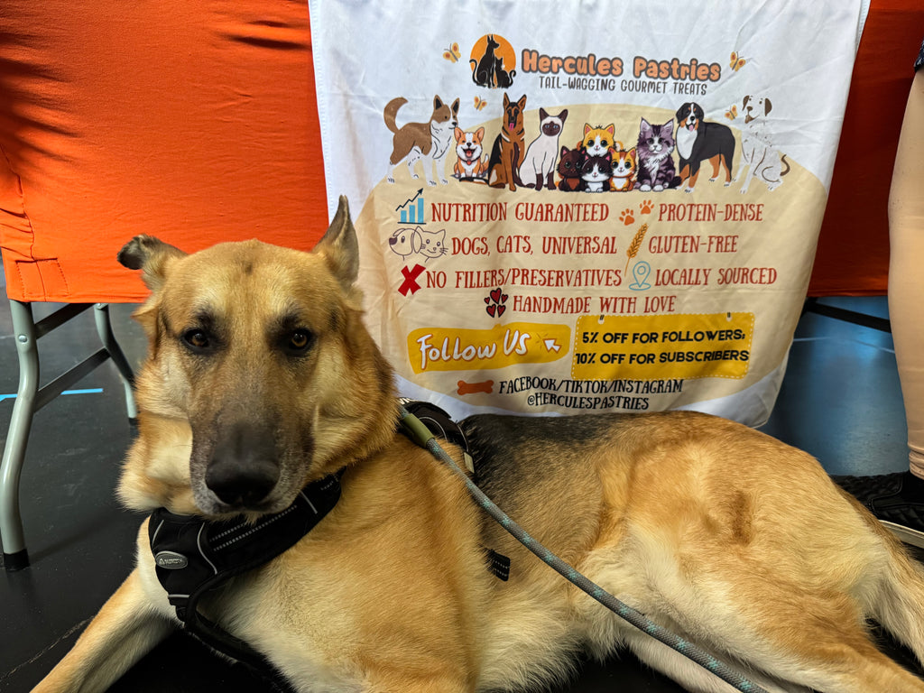 VIP Only: Doggie/Kittie Variety Party Pack (1lb)