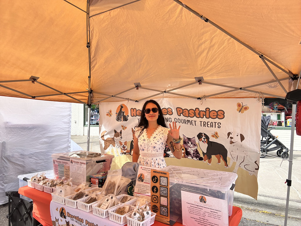 *Doggie Variety Party Bundle Pack (6oz)